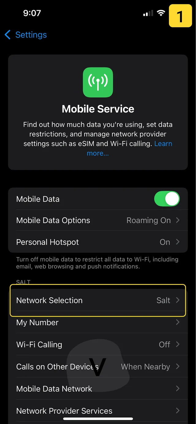 Zmiana sieci komórkowej na iPhonie - krok 1