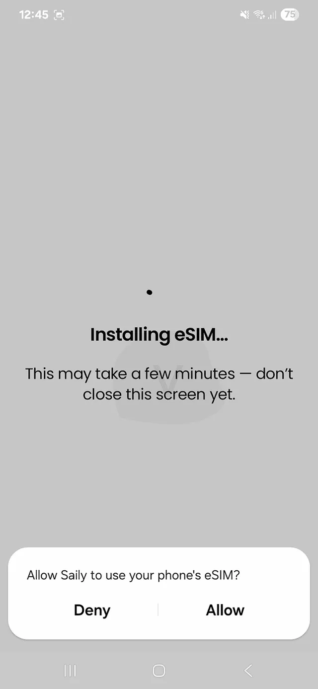 Instalacja Saily eSIM 2