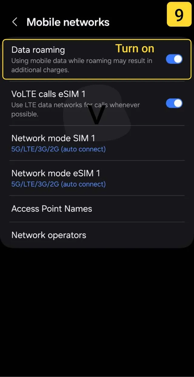 eSIM installation Samsung tutorial 09.jpg