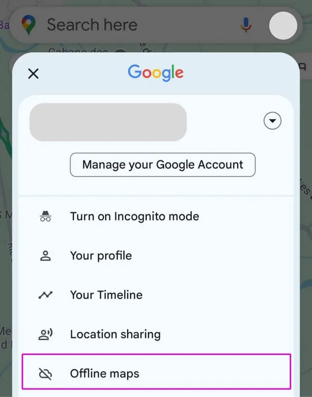 Menu offline map v Google Maps aplikaci